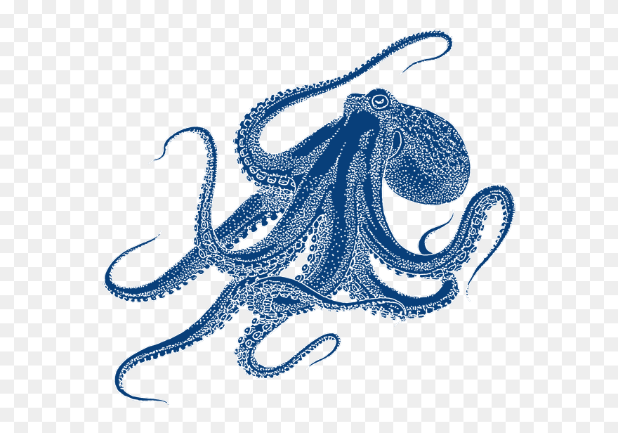 Oktopus Png Project Octopus - Octopus Tattoo Clipart