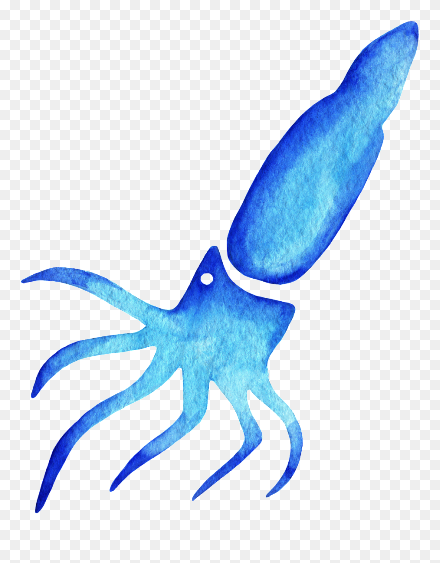 Watercolor Squid Clipart , Png Download - Clip Art Transparent Png