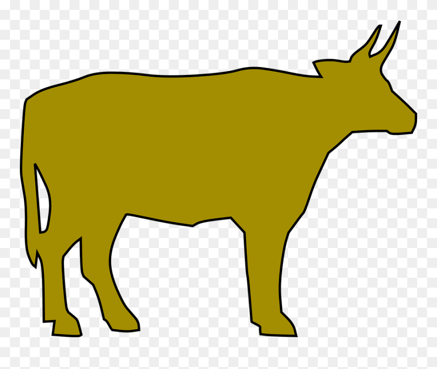 Transparent Cow Images Clipart - Beef Cattle - Png Download