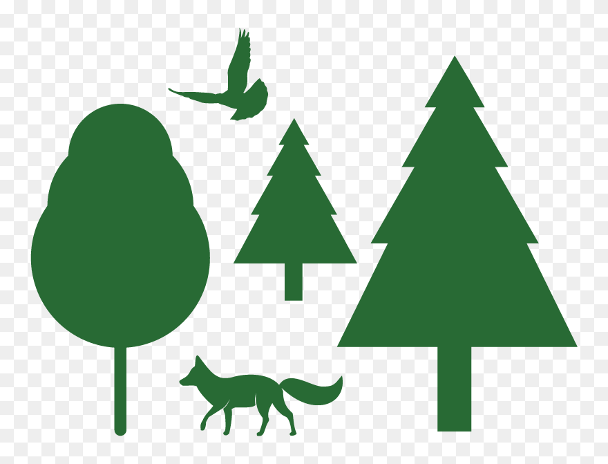 Healthy Forests & Wildlife Graphic - Christmas Tree Clipart