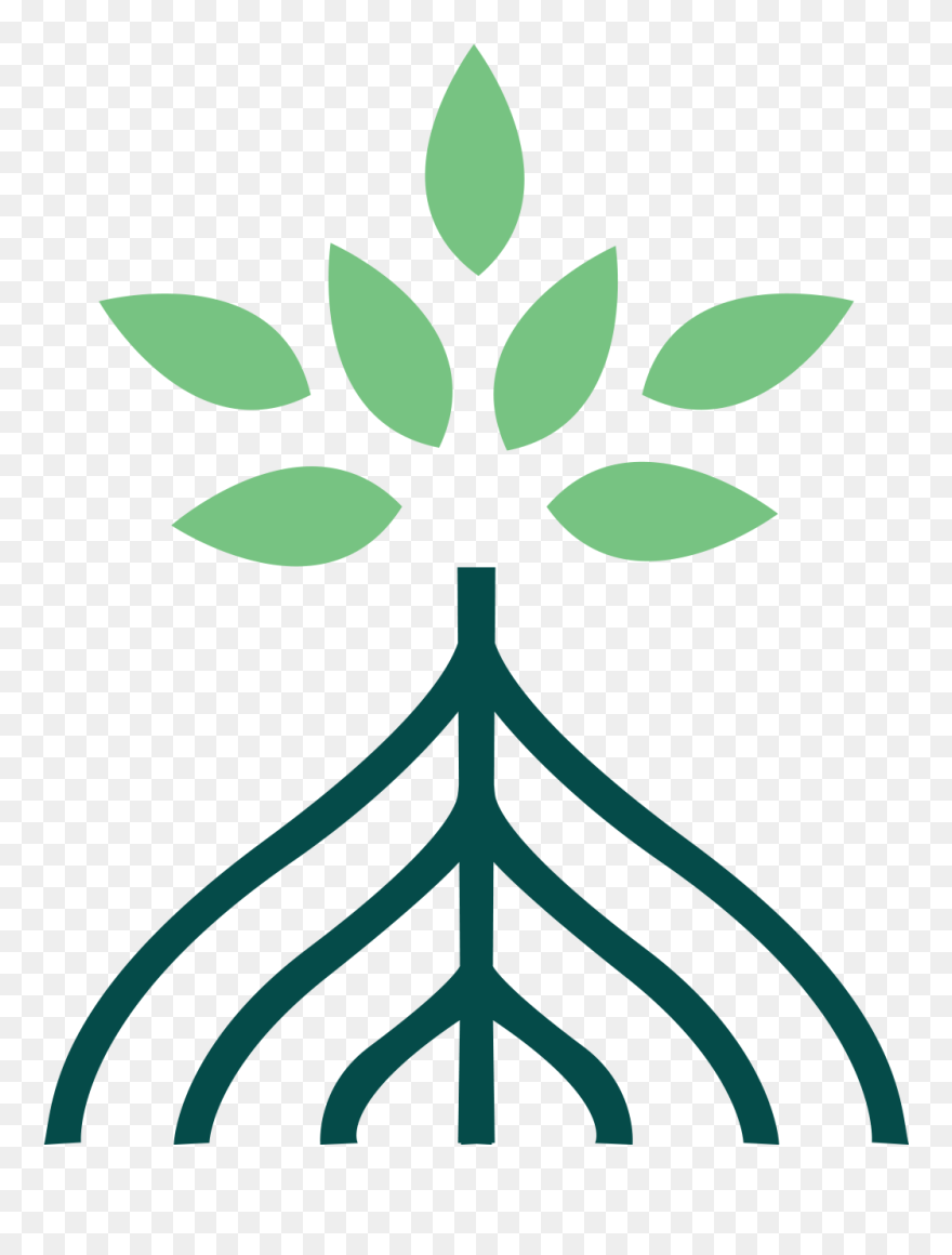 Mangrove Graphic Clipart
