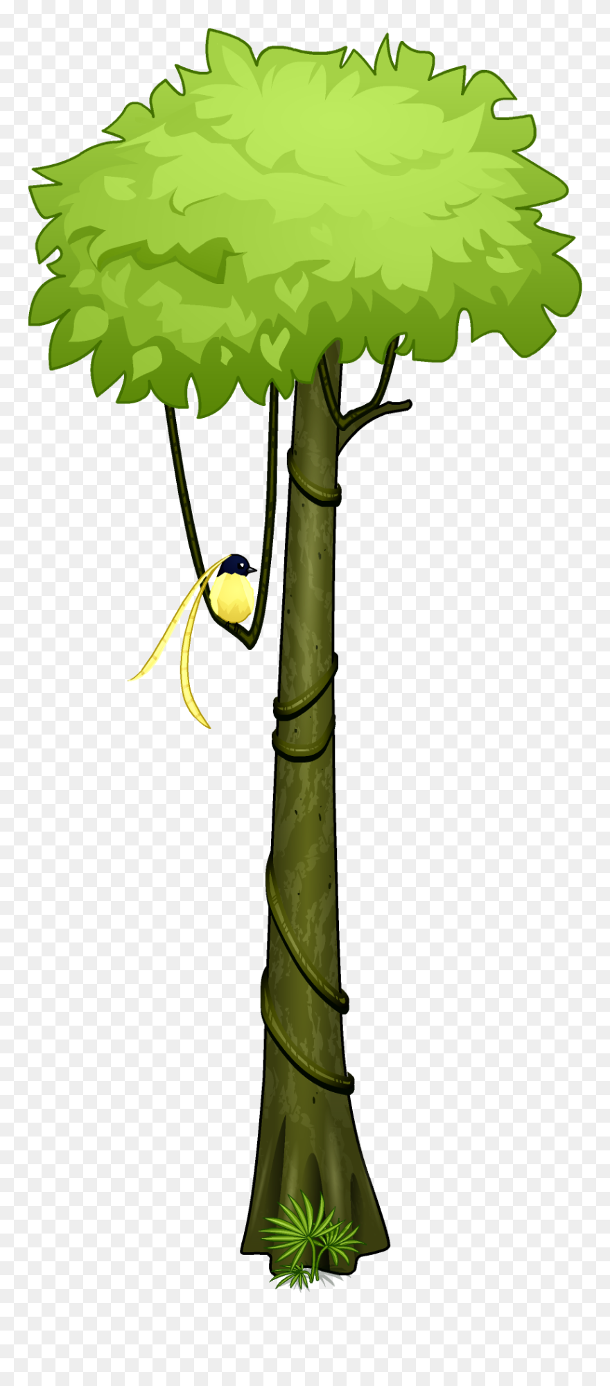 Furniture Rainforest Birdtree - Tropical Rainforest Trees Drawing Clipart