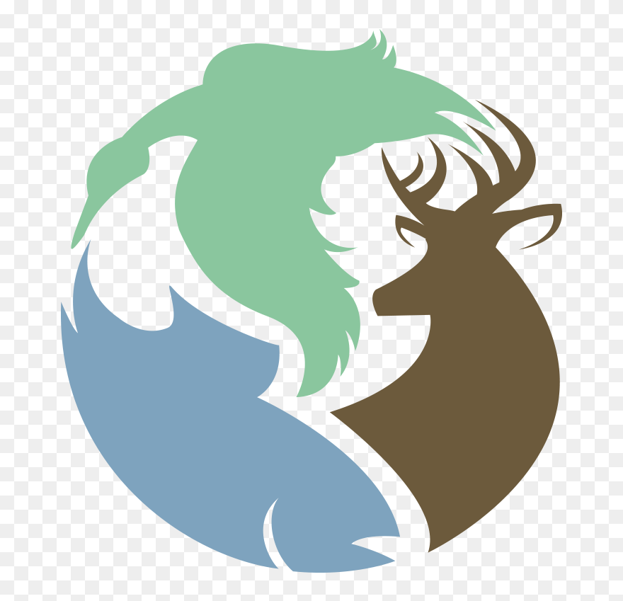 Illustration Clipart