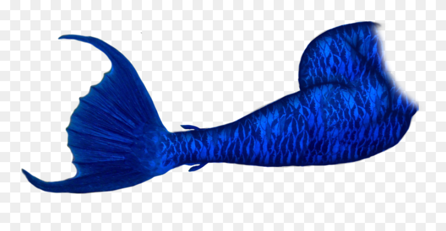 Mermaid Tail Clipart Shape - Mermaid Tails Png Transparent Png