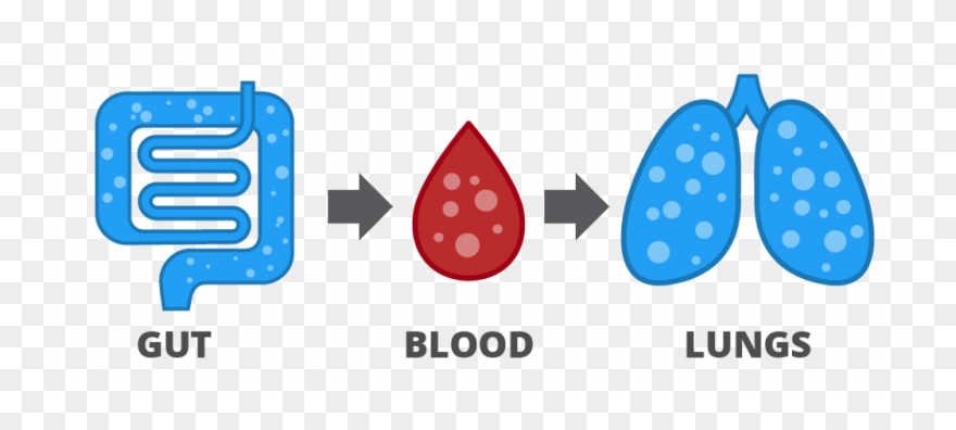 Gases Are Released In The Gut, Absorbed Into The Blood - Hydrogen Breath Test Icon Clipart