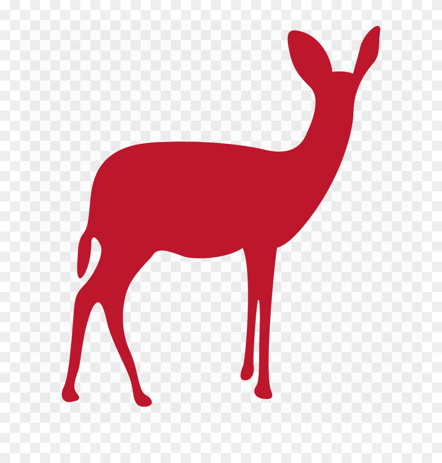 Roe-deer - Deer Icon Clipart