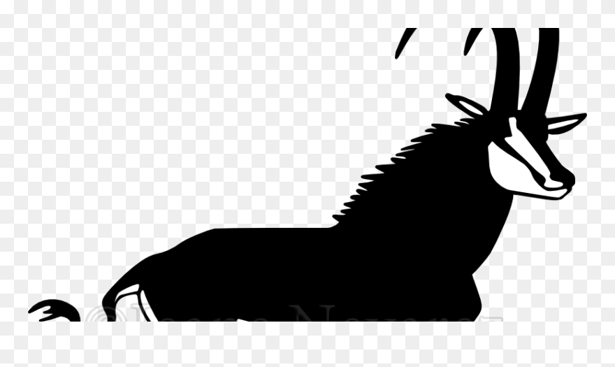 Sable Vector Clipart