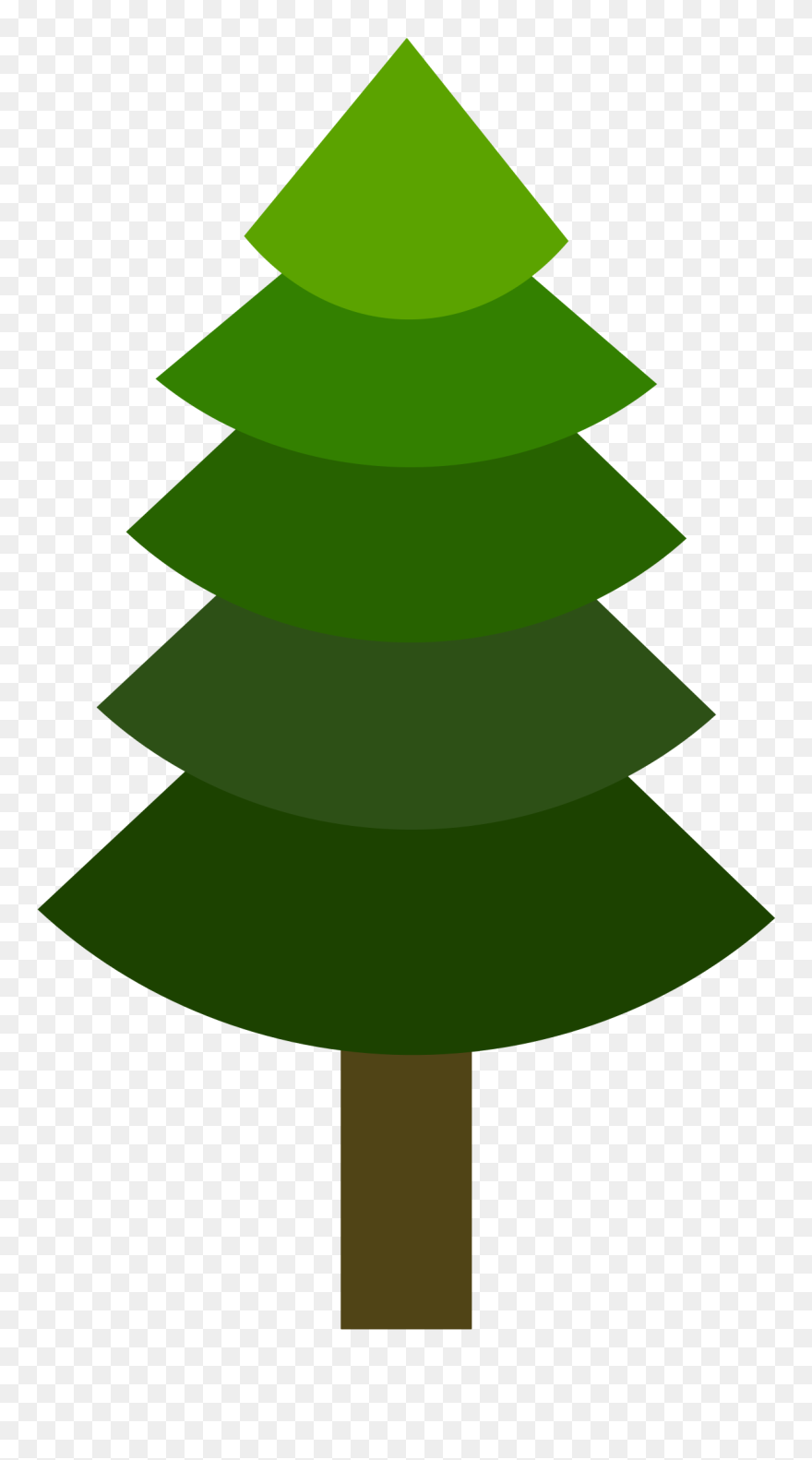 Transparent Tall Pine Tree Silhouette Png - Simple Light Green Tree Illustration Png Clipart