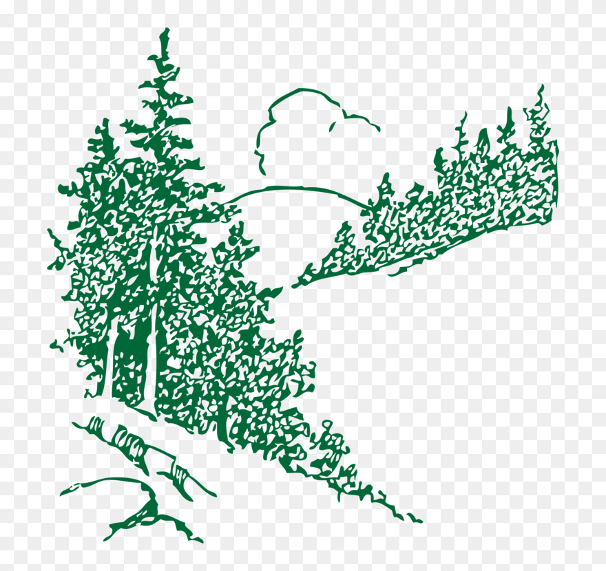 Transparent Conifer Png - Pine Forest Black And White Clip Art