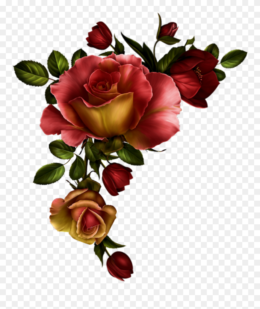 Red Rose Clipart Divider - Png Download