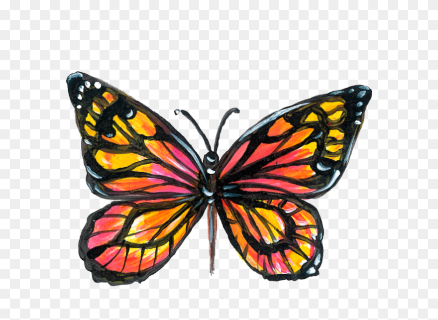 Monarch Butterfly Clipart