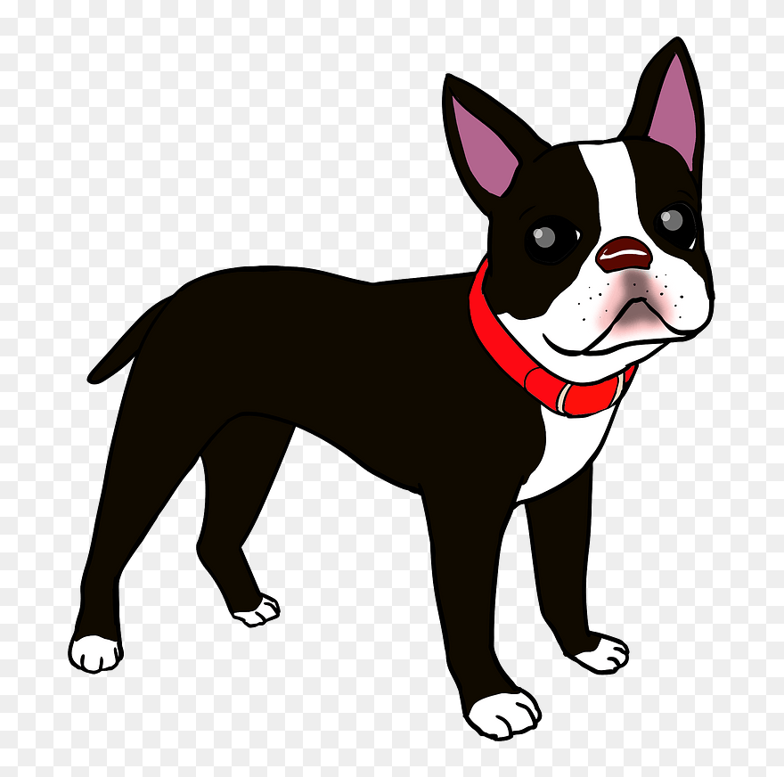 Boston Terrier Dog Clipart - ボストン テリア イラスト フリー - Png Download
