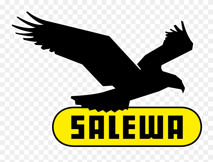 Free Boston Red Sox Logo Download, Download Free Clip - Salewa Logo - Png Download