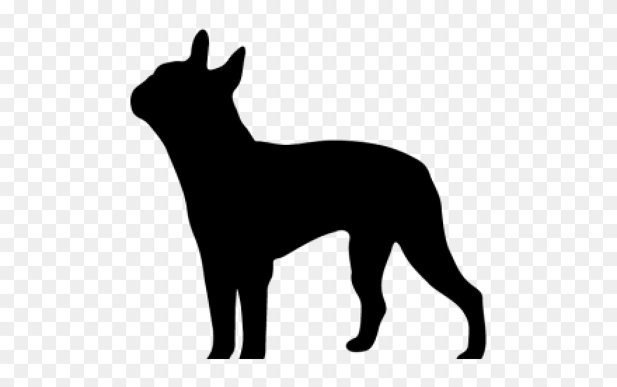 Boston Terrier Clipart Silhouette - Chihuahua Silhouette Clip Art - Png Download