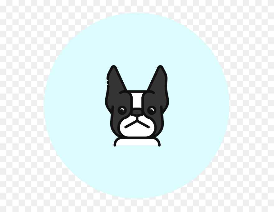 Boston Terrier French Bulldog Dog Breed Whiskers - Cartoon Clipart