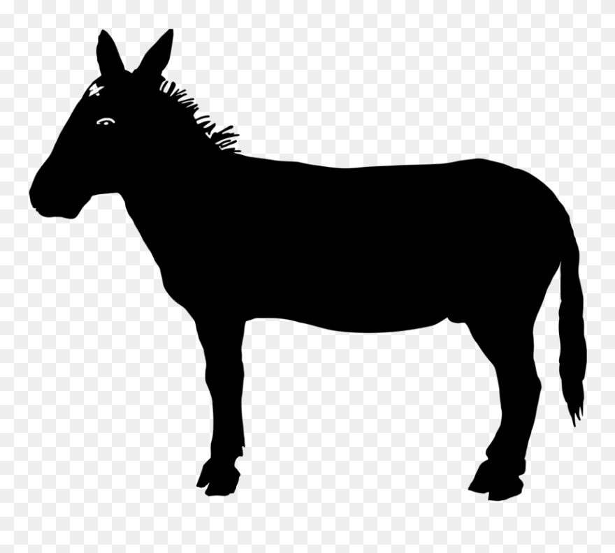 Mare,horse,pony - Reasons To Vote For Democrats Clipart