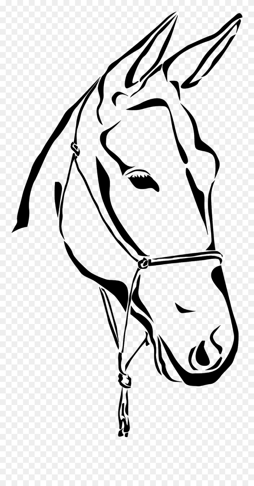 Illustration Clipart