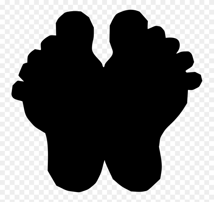 Photography - Clip Art - Png Download