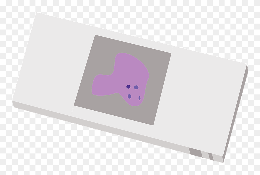 Microscope Slide Cover Slip Clipart - Png Download