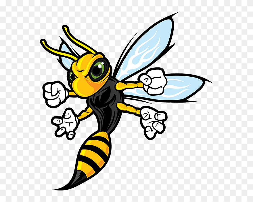 Hornet Mascot Png - Cartoon Hornet Clipart