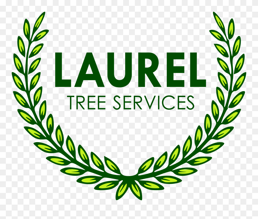 Laurel Tree Services - Success Academy Logo Png Clipart