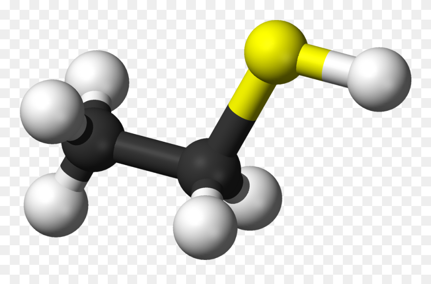Ball And Stick Model Of The Ethanethiol Molecule - Ethyl Mercaptan Clipart