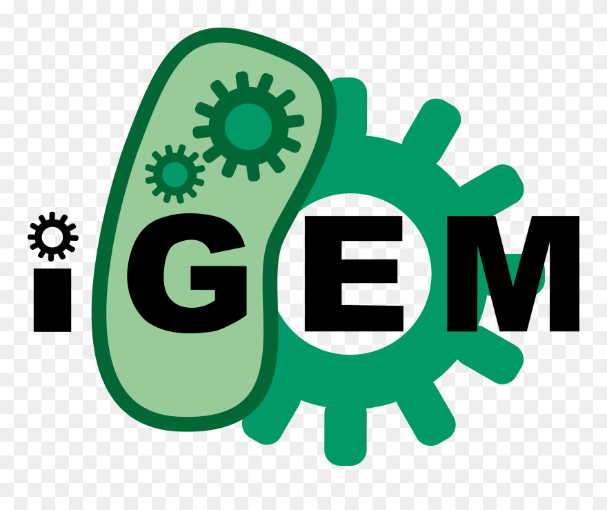 Http - //2015 - Igem - Org/file - Technion Hs Israel - International Genetically Engineered Machine Clipart