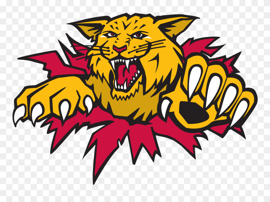 Wild Cat Clipart - Moncton Wildcats Logo - Png Download