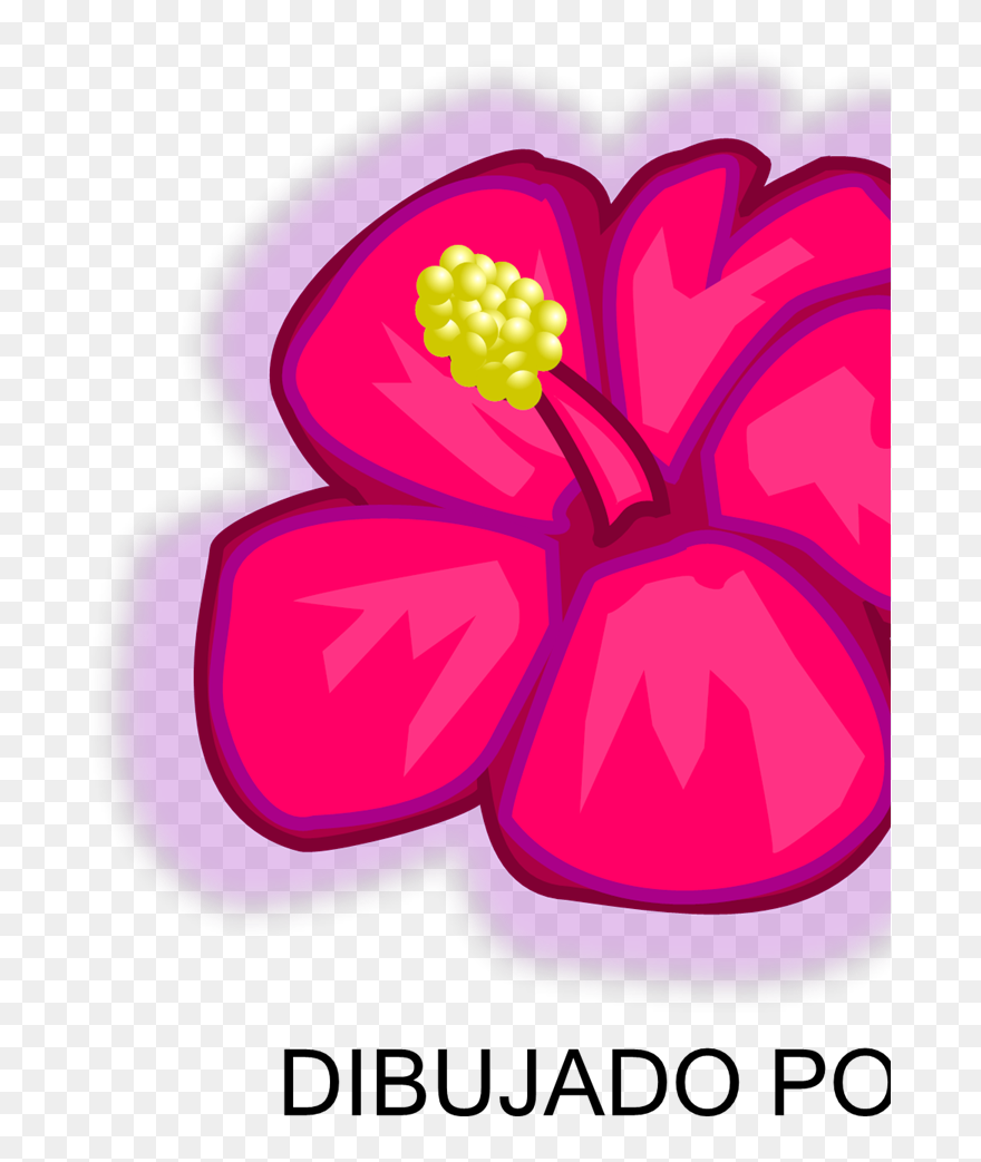 Tropical Rainforest Plants Drawing Clipart