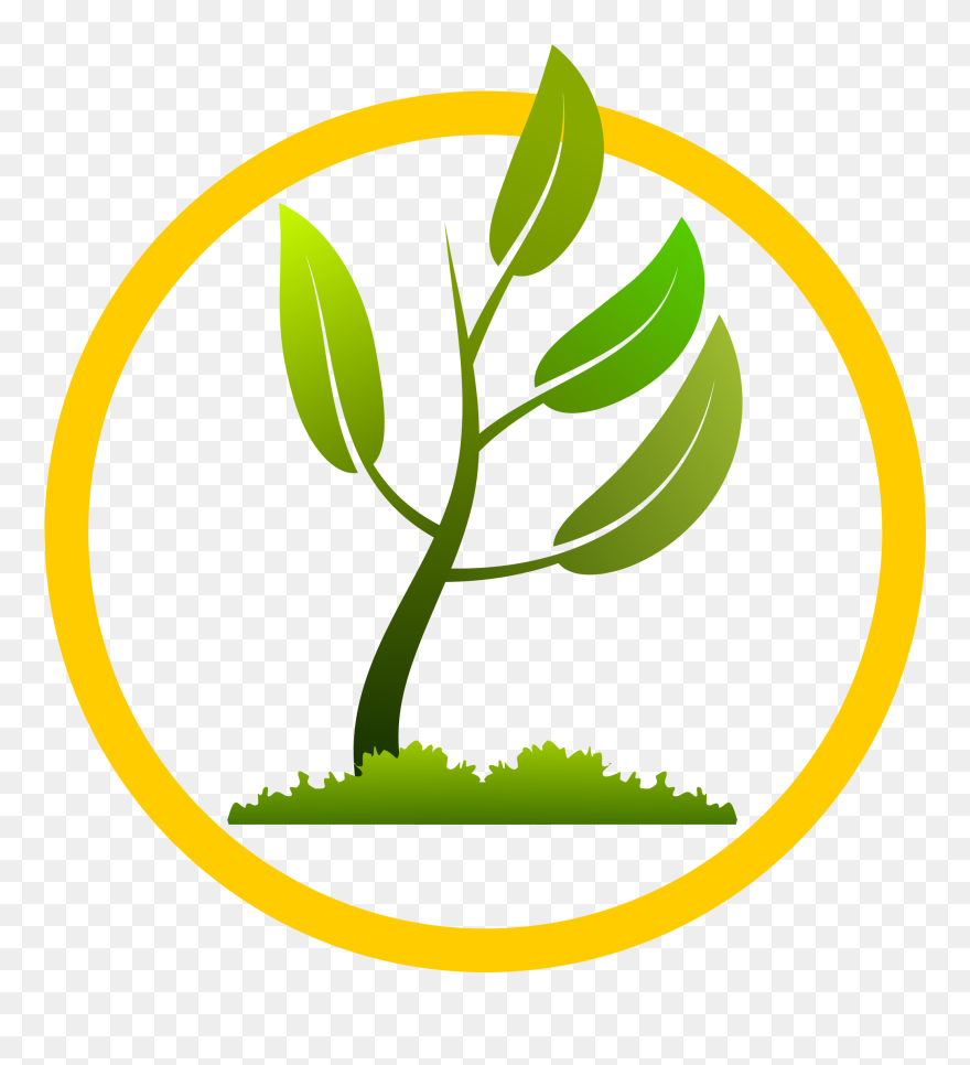 Small Plant Growing Png - Tree Planting Logo Png Clipart