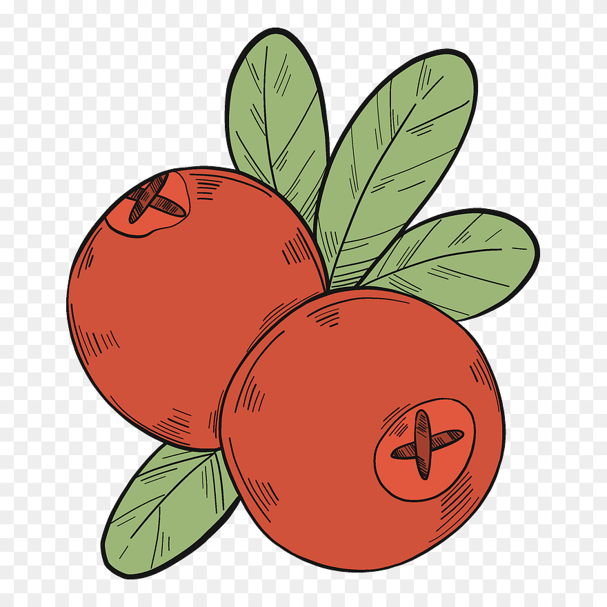 Two Cranberries Clipart - Berry - Png Download