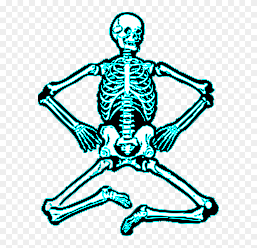 Human Skeleton Clipart - Png Download