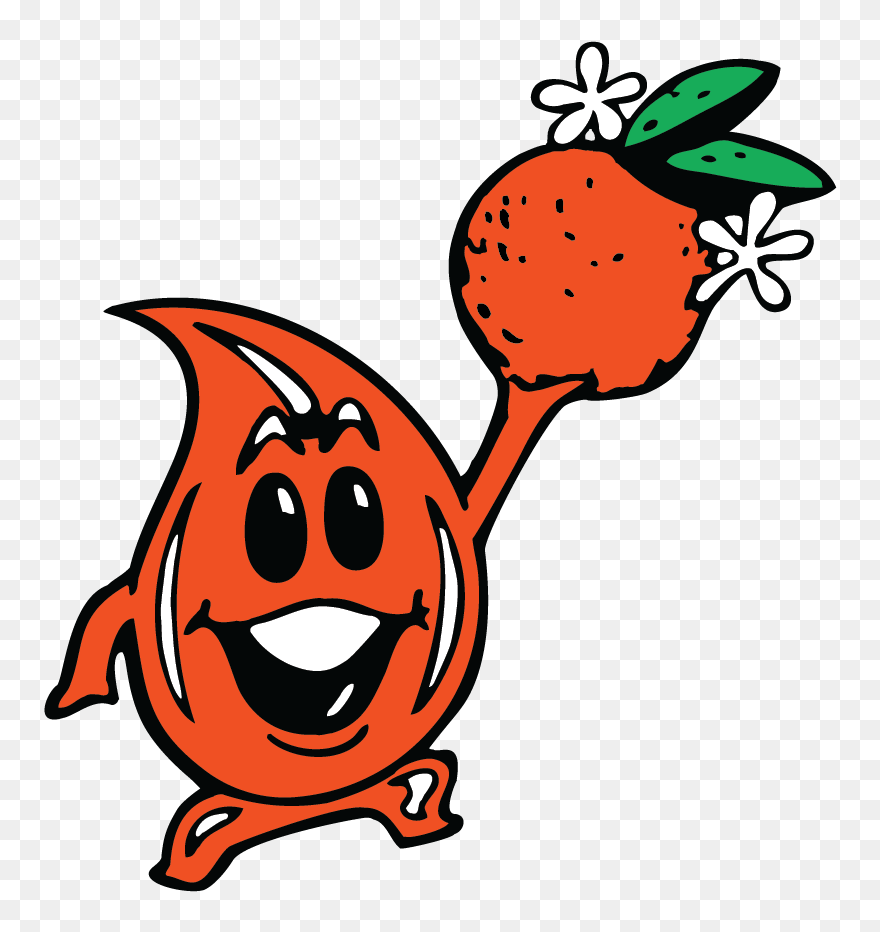 Steamed Orange Pudding Coming - Vita Pakt Logo Clipart