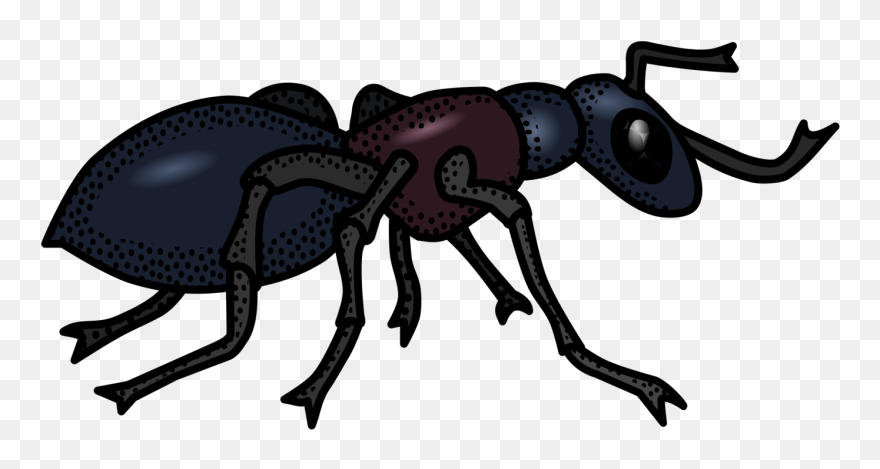 Ant Black And White Clipart