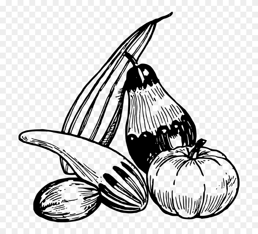 Transparent Pumpkin Png Black And White - Vegetables Line Art Clipart