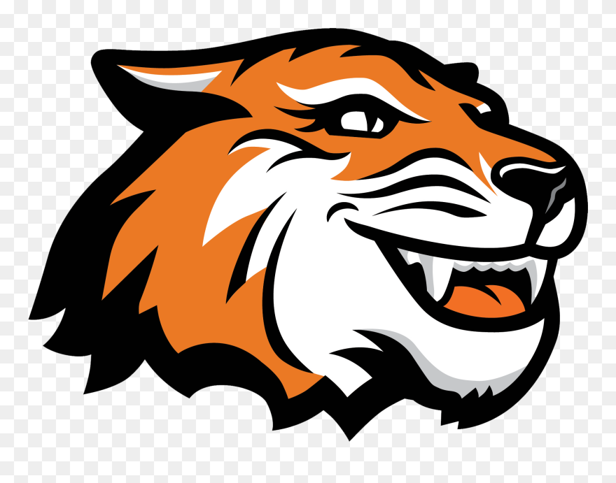 Camp Tiger - Rochester Institute Of Technology Mascot Clipart