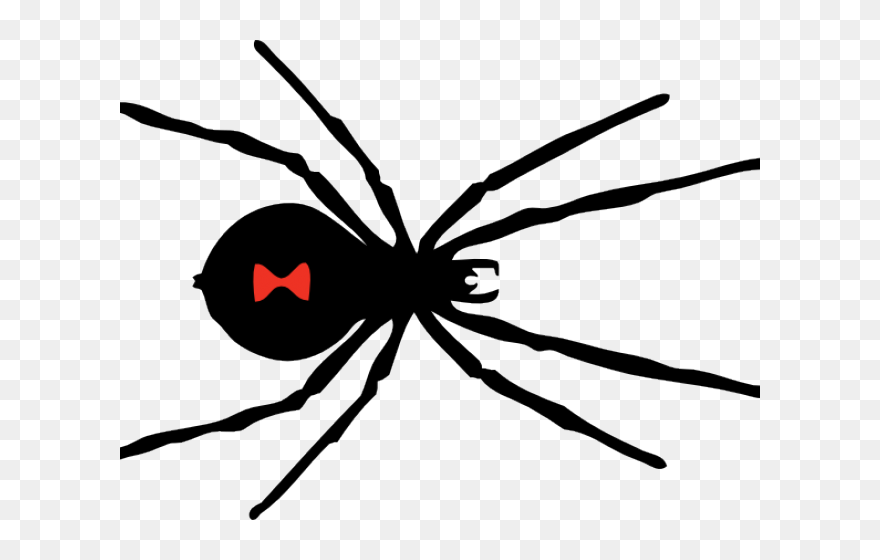Black Widow Spider Png Clipart