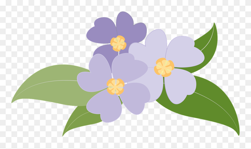Violet Clipart Flowering Plant - Moms Birthday Card Funny - Png Download