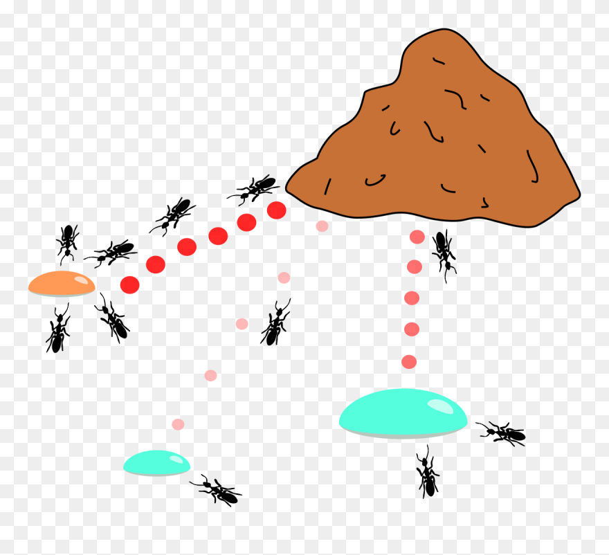 Ant Colony Optimization Algorithm Clipart