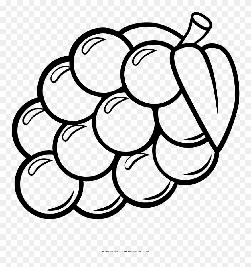 Vineyard Drawing Coloring Page - Grapes Clipart Coloring - Png Download