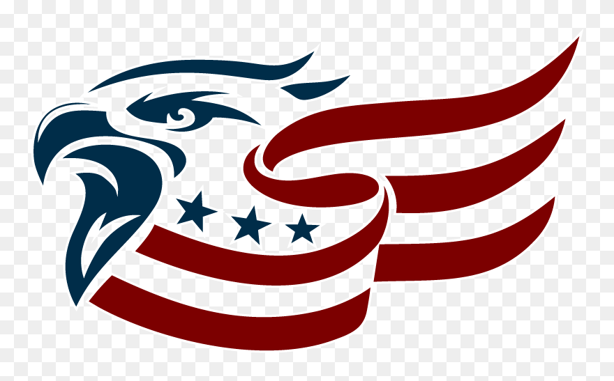 American Eagle Eyes Vector Clipart