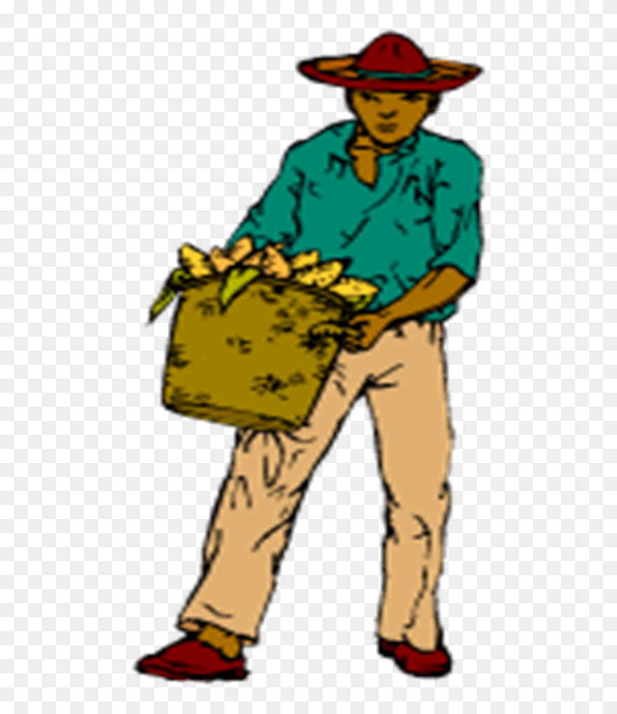 Illustration Clipart