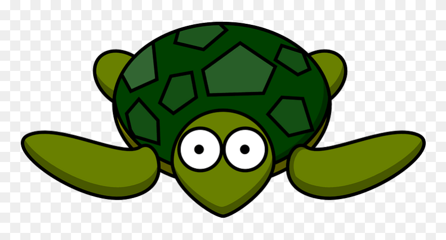 Cartoon Turtle Clipart - Turtle Cartoon Transparent Background - Png Download