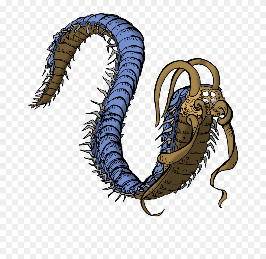 Millipedes Clipart