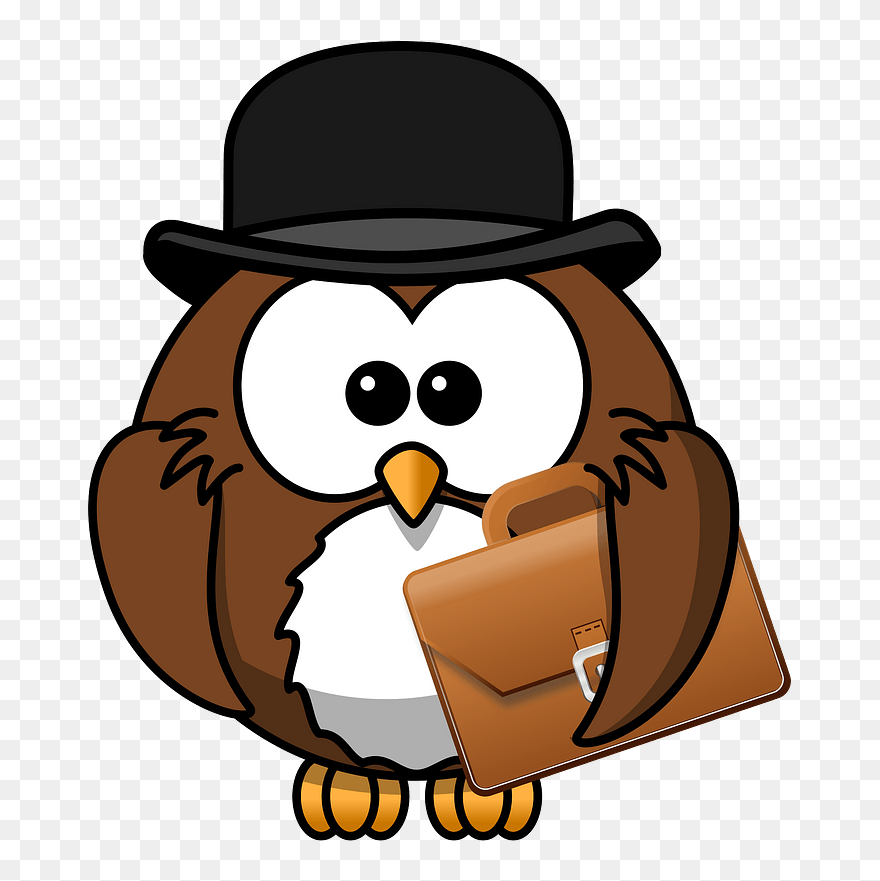 Owl In A Hat Clipart - Cartoon Owl With Hat - Png Download