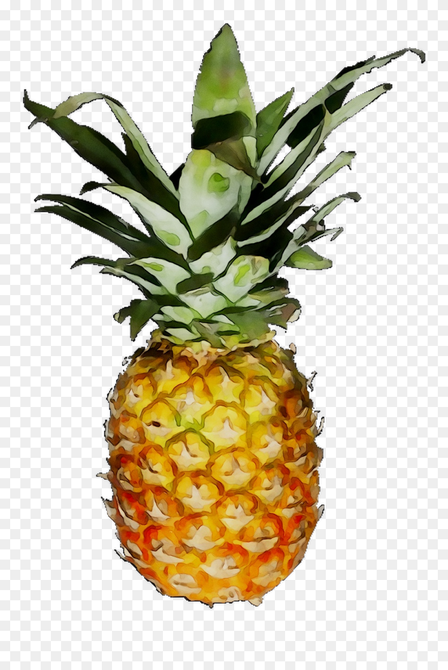 Png Download - Pineapple Clipart