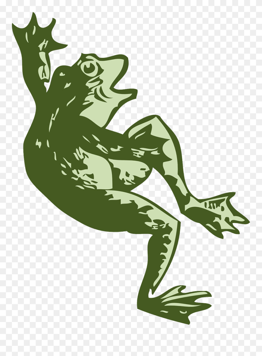 Dancing Frog - Clipart Dead Frog - Png Download