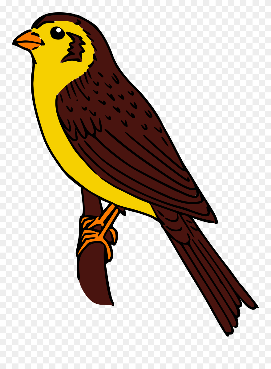 Colored Big Image Png - Sparrow Color In Drawing Clipart