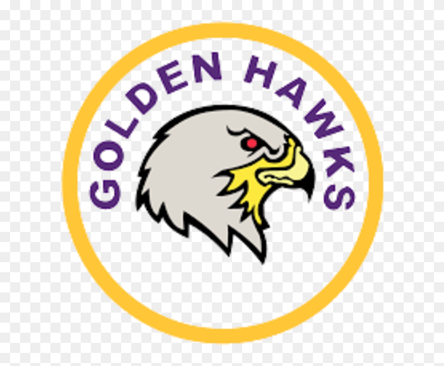 Hawk Clipart Holly Springs - Png Download