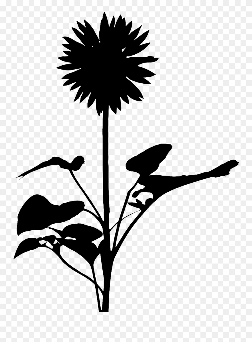 Clip Art Leaf Silhouette Plant Stem Flowering Plant - Silhouette - Png Download